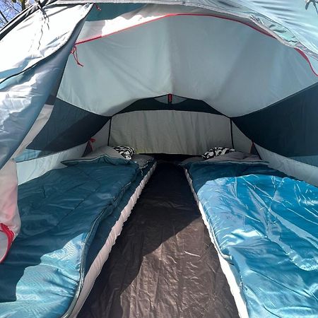 The Esn Kingsday Campsite Amsterdam Ngoại thất bức ảnh