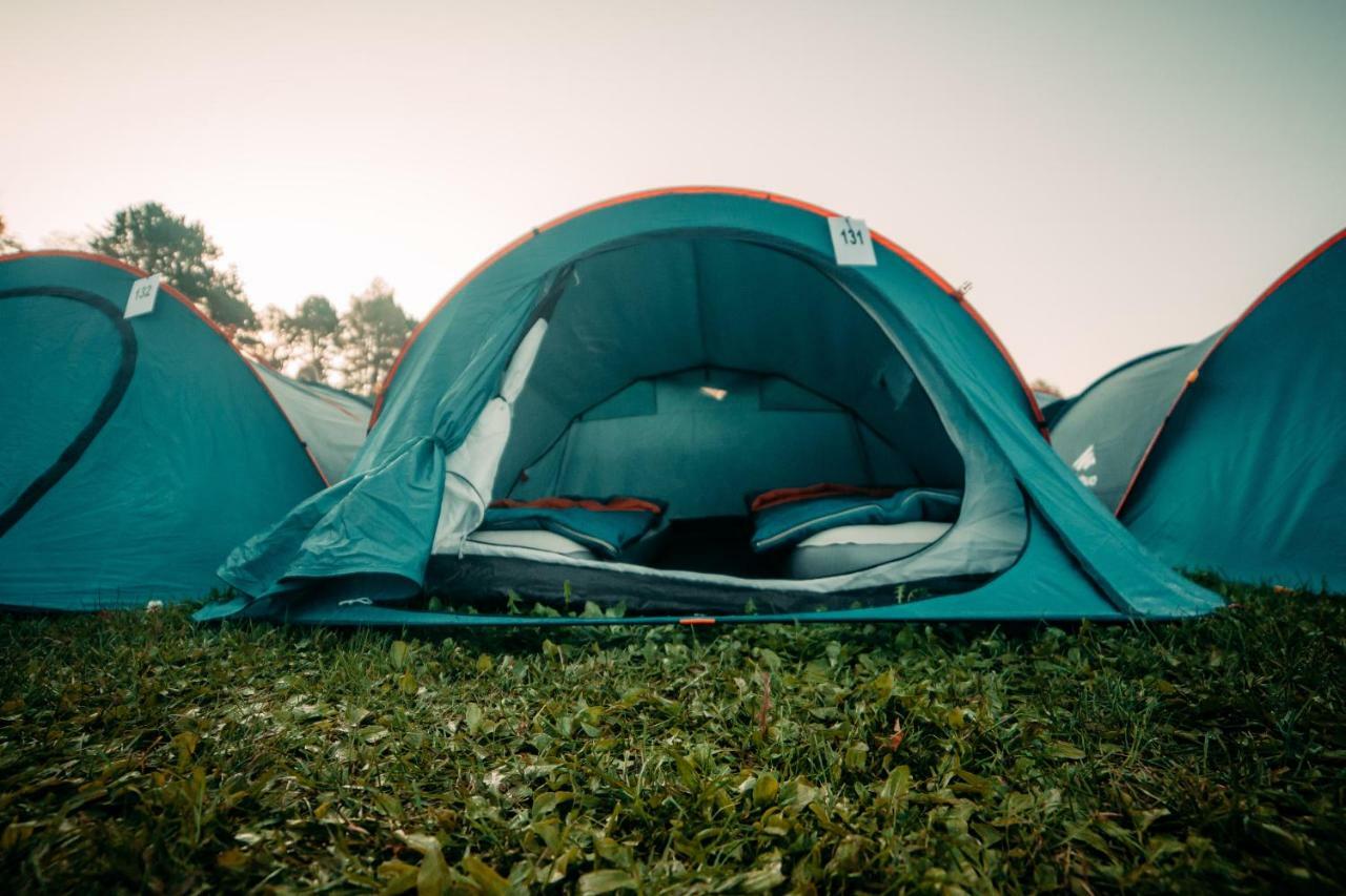 The Esn Kingsday Campsite Amsterdam Ngoại thất bức ảnh